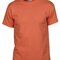 Heavy Cotton™ T- Shirt