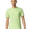 Softstyle® T- Shirt