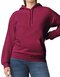 GSF500 Softstyle® Midweight Sweat Adult Hoodie