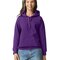 GSF500 Softstyle® Midweight Sweat Adult Hoodie