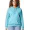 GSF500 Softstyle® Midweight Sweat Adult Hoodie