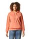 GSF500 Softstyle® Midweight Sweat Adult Hoodie