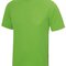Cool T