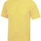 Cool T