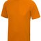 Cool T