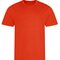 Cool T