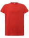 Curves T-Shirt Lady