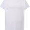 Curves T-Shirt Lady
