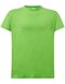Curves T-Shirt Lady