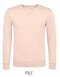 Men´s Sully Sweat