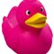 Schnabels® Quietsche-Ente