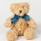 Bracken Bear