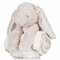 Rabbit and Blanket
