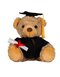 Graduation Bear