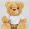 Bear in a T-Shirt