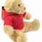 Teddy Hoodie