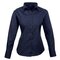 Ladies` Poplin Long Sleeve Blouse