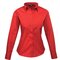 Ladies` Poplin Long Sleeve Blouse