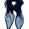 Women`s Colours Collection Chiffon Scarf
