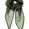 Women`s Colours Collection Chiffon Scarf
