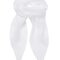 Women`s Colours Collection Chiffon Scarf