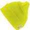 Heavyweight Thinsulate™ Woolly Ski Hat
