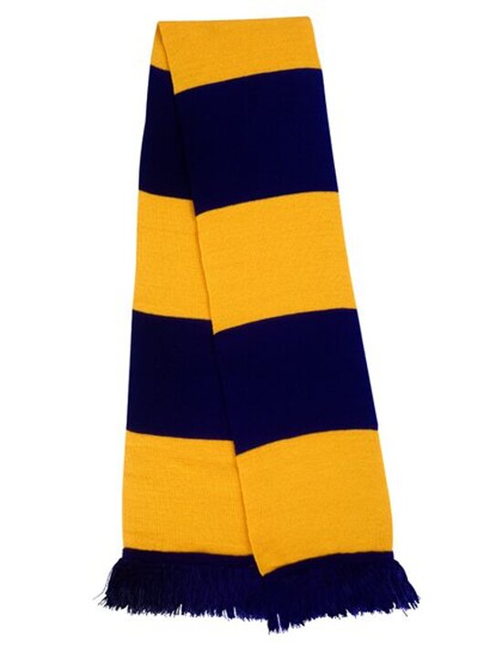 Team Scarf
