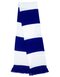 Team Scarf