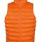 Men`s Ice Bird Padded Gilet