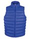 Men`s Ice Bird Padded Gilet