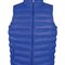 Men`s Ice Bird Padded Gilet