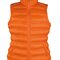 Womens Ice Bird Padded Gilet