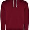 Urban Hooded Sweatshirt