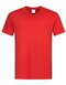 Classic-T V-Neck