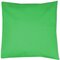 Pillow Case